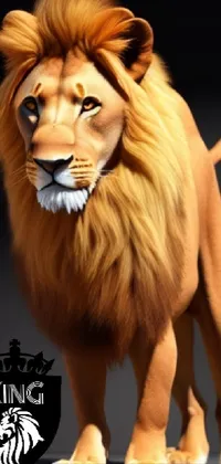 Featuring a majestic lion standing before a black backdrop, this live wallpaper is a breathtaking work of art