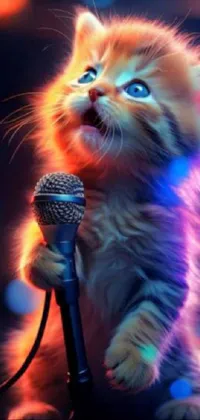 Microphone Cat Light Live Wallpaper