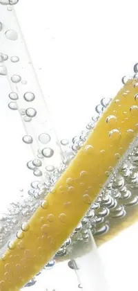 This lively phone wallpaper showcases a single lemon slice smoothly floating in a tall glass filled with water