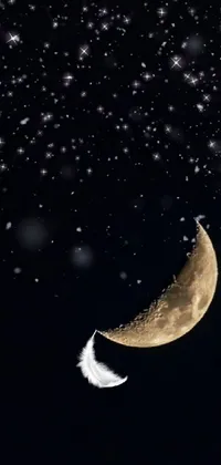 Moon Crescent Sky Live Wallpaper