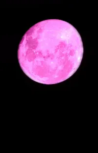 Moon Purple Full Moon Live Wallpaper
