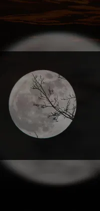 Moon World Grey Live Wallpaper