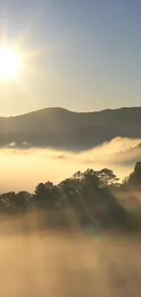 Enjoy the beauty of the Appalachian Mountains with this stunning live wallpaper