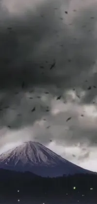 This stunning live wallpaper features a serene landscape with birds flying in front of a majestic mountain