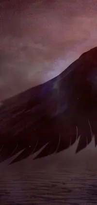 This phone live wallpaper showcases beautiful imagery of a black bird flying over a serene body of water, accompanied by a villainess with black angel wings and red skin