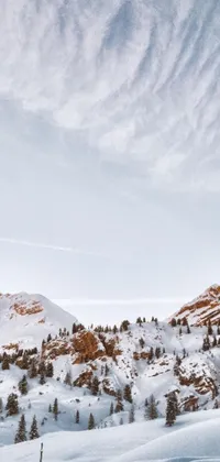 This lively live wallpaper features an exhilarating scene of a skier gracefully skiing down a snow covered slope with a breathtaking backdrop of cypresses and hills against a big sky
