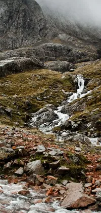 Mountain Highland Water Live Wallpaper