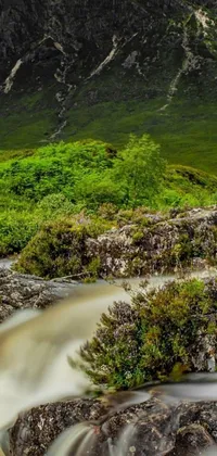 Experience the beauty of the Scottish highlands right on your mobile with this live wallpaper! A herd of sheep stands proudly on a lush green hillside captured in vivid detail