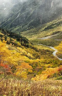 Mountain Natural Landscape Highland Live Wallpaper