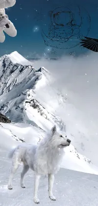 Mountain Sky Dog Live Wallpaper