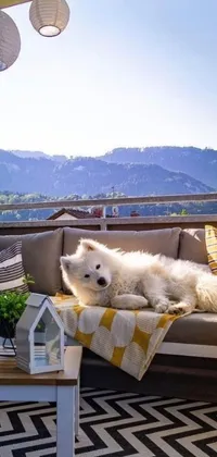 Get ready for some doggy bliss with this phone live wallpaper! This delightful design features a sweet white pup lounging on a comfy couch on a mountain-view balcony