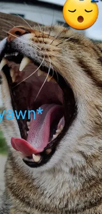 Mouth Cat Carnivore Live Wallpaper