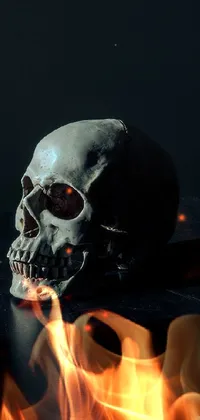 Add some dark and mystery to your phone with this high detailed skull live wallpaper