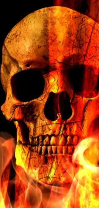 This phone live wallpaper features a highly detailed digital art design of a skull with a fiery background