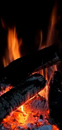 Muscle Bonfire Fire Live Wallpaper