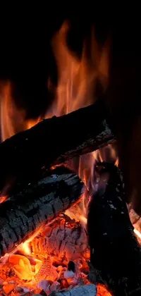 Muscle Fire Flame Live Wallpaper