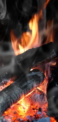 This phone live wallpaper features a highly detailed 8k close-up of a warm wood fire with sausages sizzling on top of it