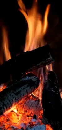 Muscle Nature Fire Live Wallpaper