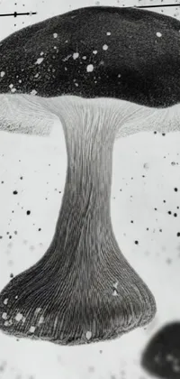 This phone wallpaper features a striking black and white etching of a mushroom that appears to float in the cosmos