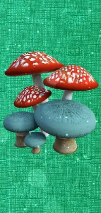 Mushroom Terrestrial Plant Agaricaceae Live Wallpaper