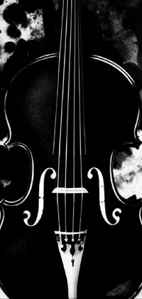 Musical Instrument Black String Instrument Accessory Live Wallpaper