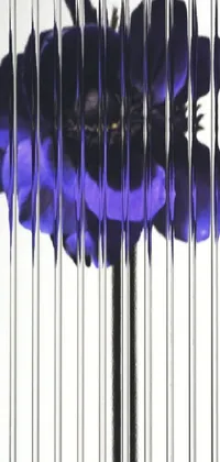 Musical Instrument Purple Violet Live Wallpaper