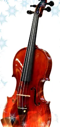 Musical Instrument String Instrument Violin Family Live Wallpaper