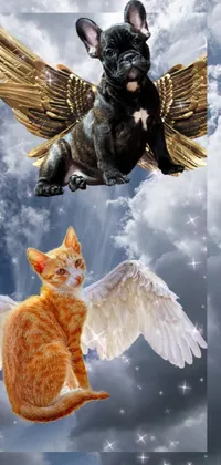 Mythical Creature Cat Mammal Live Wallpaper