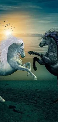 Mythical Creature Nature Horse Live Wallpaper