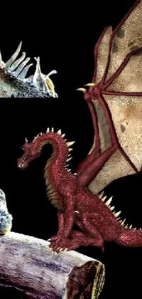 Elevate your phone's screen to a whole new level with this magnificent fire-breathing dragon live wallpaper