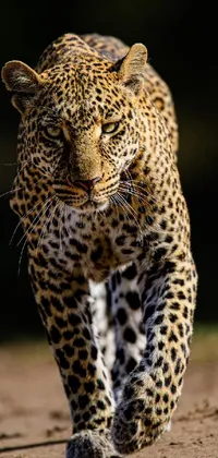 This live wallpaper depicts a striking image of a leopard on a dirt field, captured in a stunning portrait style that showcases its intense gaze and powerful stride