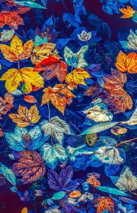 Natural Environment Textile Organism Live Wallpaper
