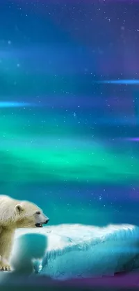 This phone live wallpaper features polar bears on an iceberg under aurora borealis