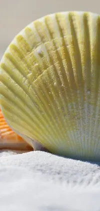 Slug Live Wallpaper