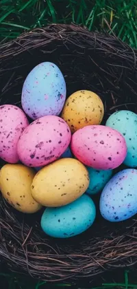 Decorate your phone screen for Easter with this lively live wallpaper featuring colorful eggs nestled in a nest on green grass