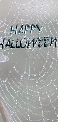 Get into the Halloween spirit with this live phone wallpaper! Featuring a creepy spider web decorated with the words "happy halloween," this wallpaper is perfect for setting the mood this spooky holiday