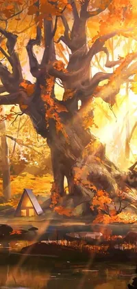 Nature Amber Branch Live Wallpaper