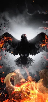 This digital art live wallpaper depicts a black bird sitting on a fiery ground with eagle wings, and burning red eyes in a helghast-like dark color theme