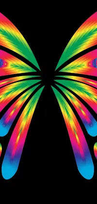 This live phone wallpaper features a colorful butterfly against a black background