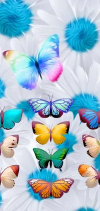 Add a touch of beauty to your phone with this stunning live wallpaper featuring a bunch of colorful butterflies on a cool blue and white background