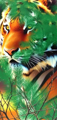 Nature Bengal Tiger Tiger Live Wallpaper