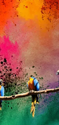 Bring your phone to life with this gorgeous live wallpaper! This colorful scene captures a group of birds perched on a branch, their bright and vibrant feathers pop against a grungy background