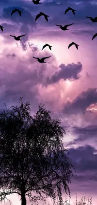 This live wallpaper for your phone features a delightful image of birds flying over a tree silhouette in a trending purple color scheme