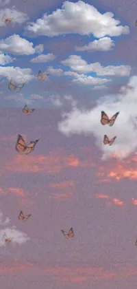 This live wallpaper features a flock of colorful butterflies set against a serene blue sky with fluffy white clouds in the background