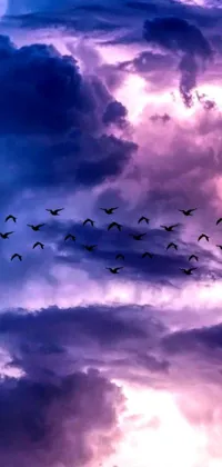 This phone live wallpaper showcases a flock of birds flying through a mesmerizing purple sky