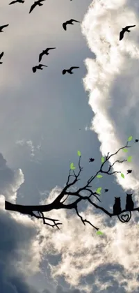 "Enjoy the beauty of nature on your phone with this live wallpaper that features a flock of birds flying through a cloudy sky