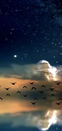 This phone live wallpaper showcases a group of birds flying over a peaceful body of water set against the breathtaking backdrop of a starry night sky with clouds
