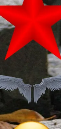 The phone live wallpaper features a beautiful 3D bird flying in front of a vibrant red star