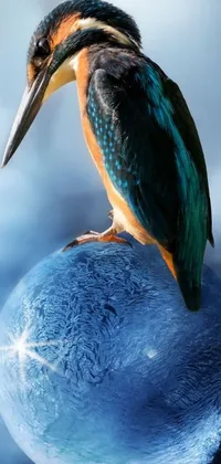 This phone live wallpaper showcases a stunning digital art of a graceful bird perched on top of a rock rendered in 4K HD resolution