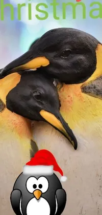 This live phone wallpaper features two adorable penguins wearing Santa hats, standing closely together and sharing a sweet kiss on the beak